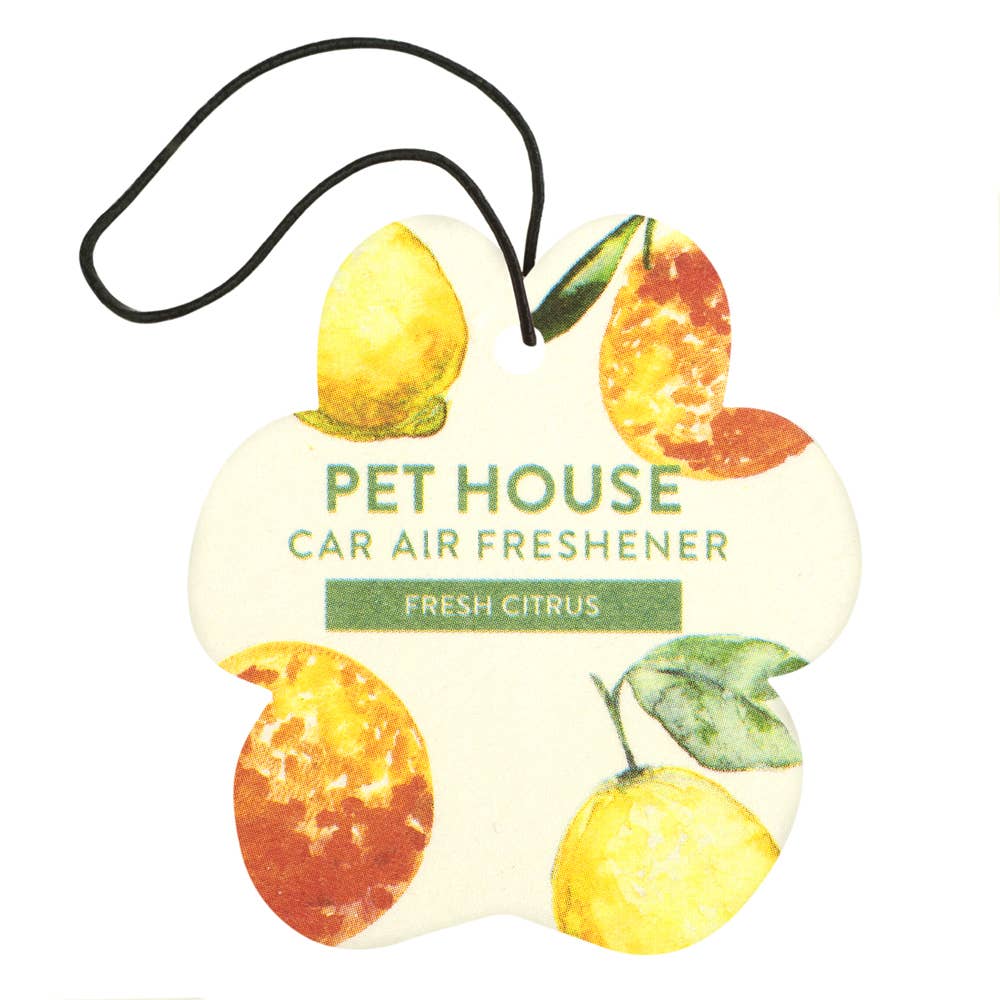 Fresh Citrus Car Air Freshener