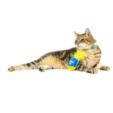 Kittybelles Meow-zel Tov Dreidel Cat Toy