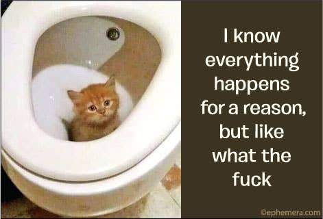 I know Everything Happens Magnet