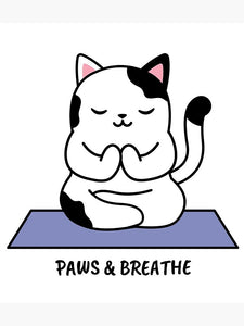 Meow-maste Yoga with Cats Sunday, March 30th 10am