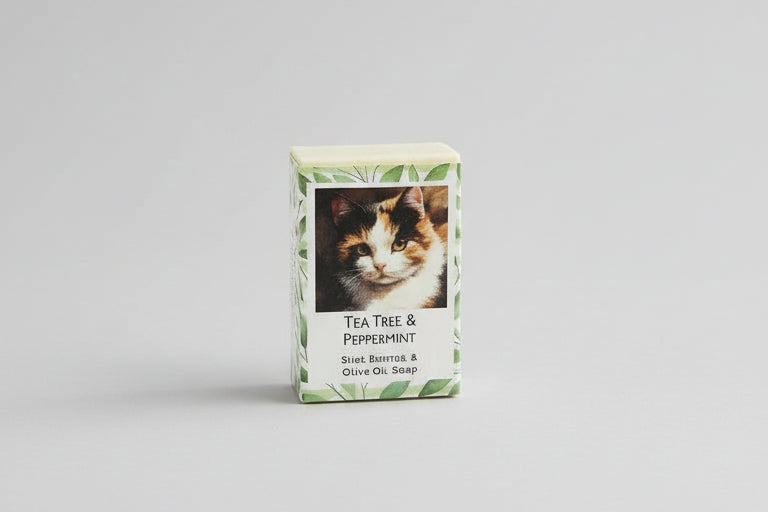 Tea Tree & Peppermint Specialty Bar Soap