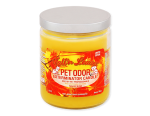 Pet Odor Exterminator Candle - Fall'n Leaves