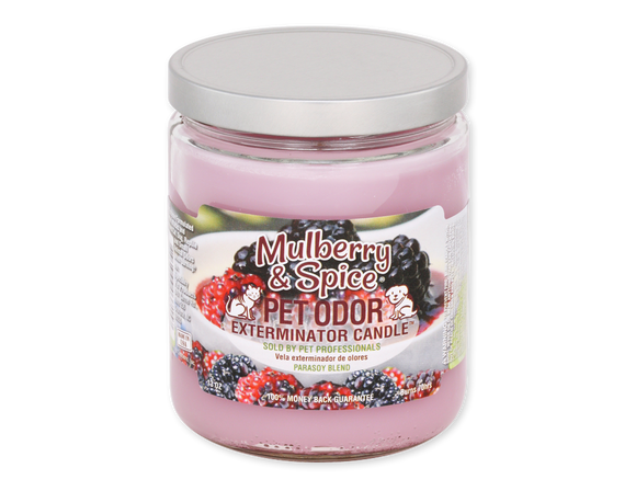 Pet Odor Exterminator Candle - Mulberry & Spice