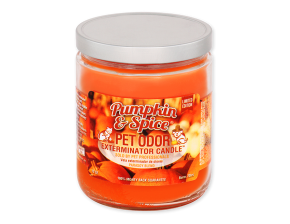 Pet Odor Exterminator Candle - Pumpkin & Spice