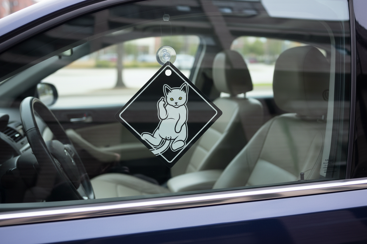 Cat Middle Finger Car Sign