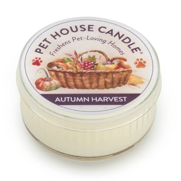 Autumn Harvest Mini Candle 1.5 oz
