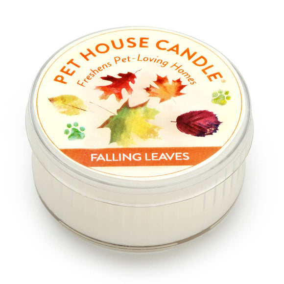 Falling Leaves Mini Candle 1.5 oz