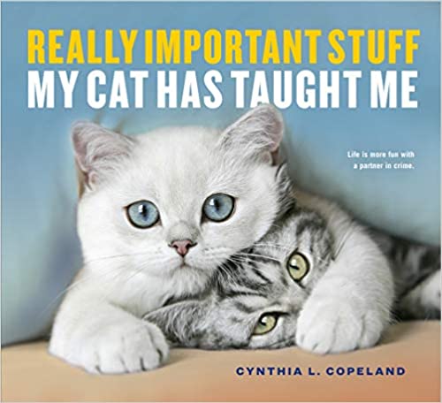 Really Important Stuff My Cat Has Taught Me Paperback