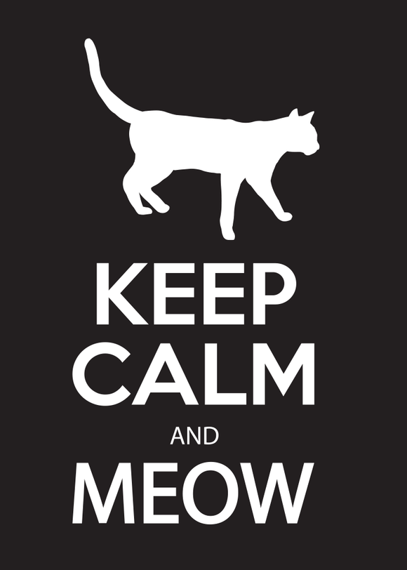 Magnet-Keep Calm and Meow