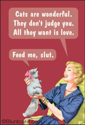 Magnet - Cats are wonderful. They don't judge you….