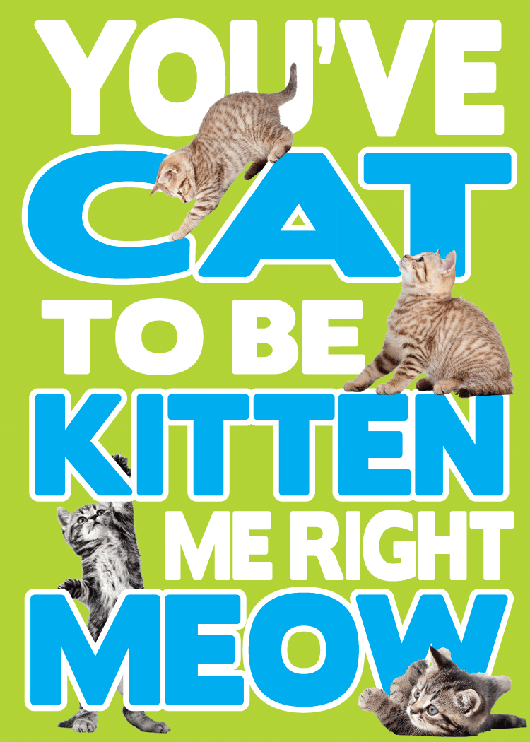 You've Got To Be Kitten Me Magnet