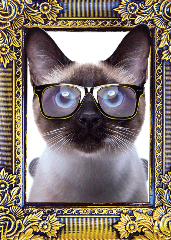 Magnet-Cat Portrait